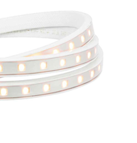 Bandes à LED